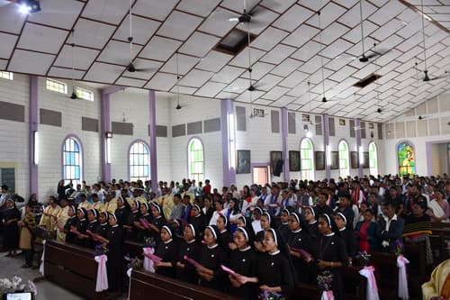 gallery collections rounded rounded-3