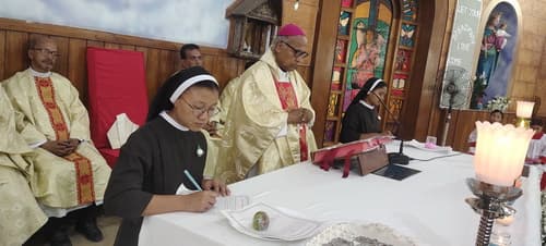 gallery collections rounded rounded-3