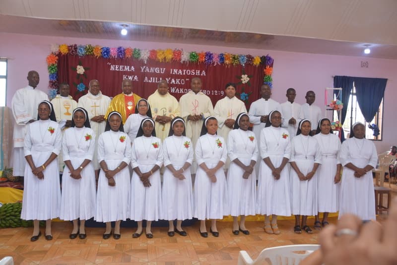 Temporary profession of African Region 