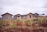 URSULINE FRANCISCAN SISTERS IN SAME DIOCESE, TANZANIA