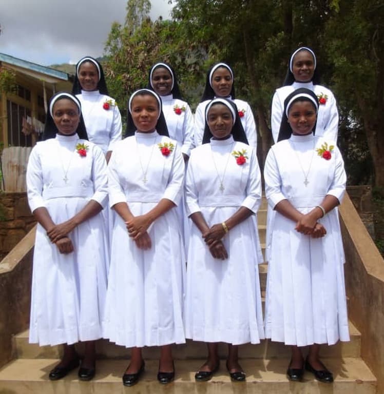 Temporary Profession of  African Region 